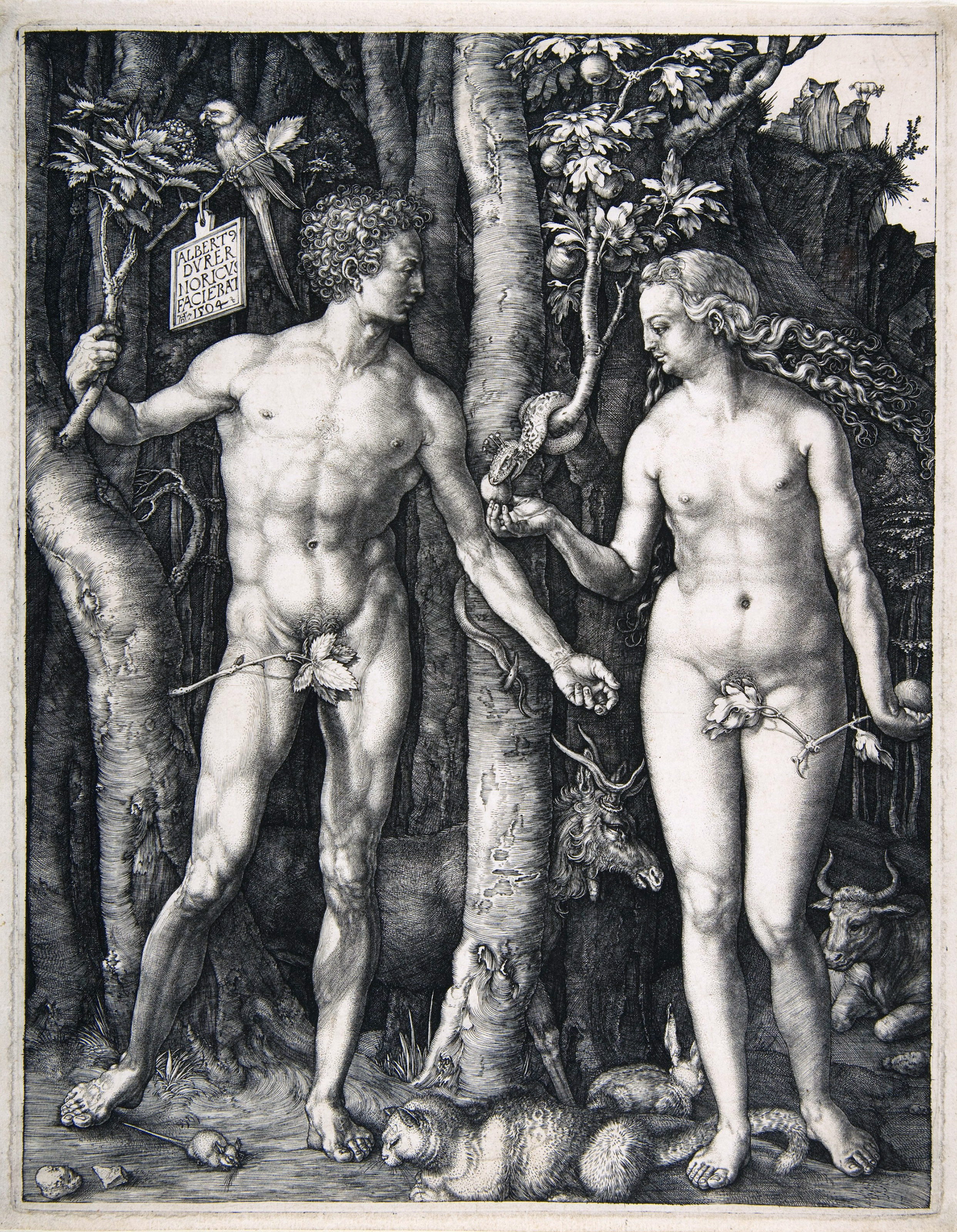 Adam and Eve by Albrecht Dürer