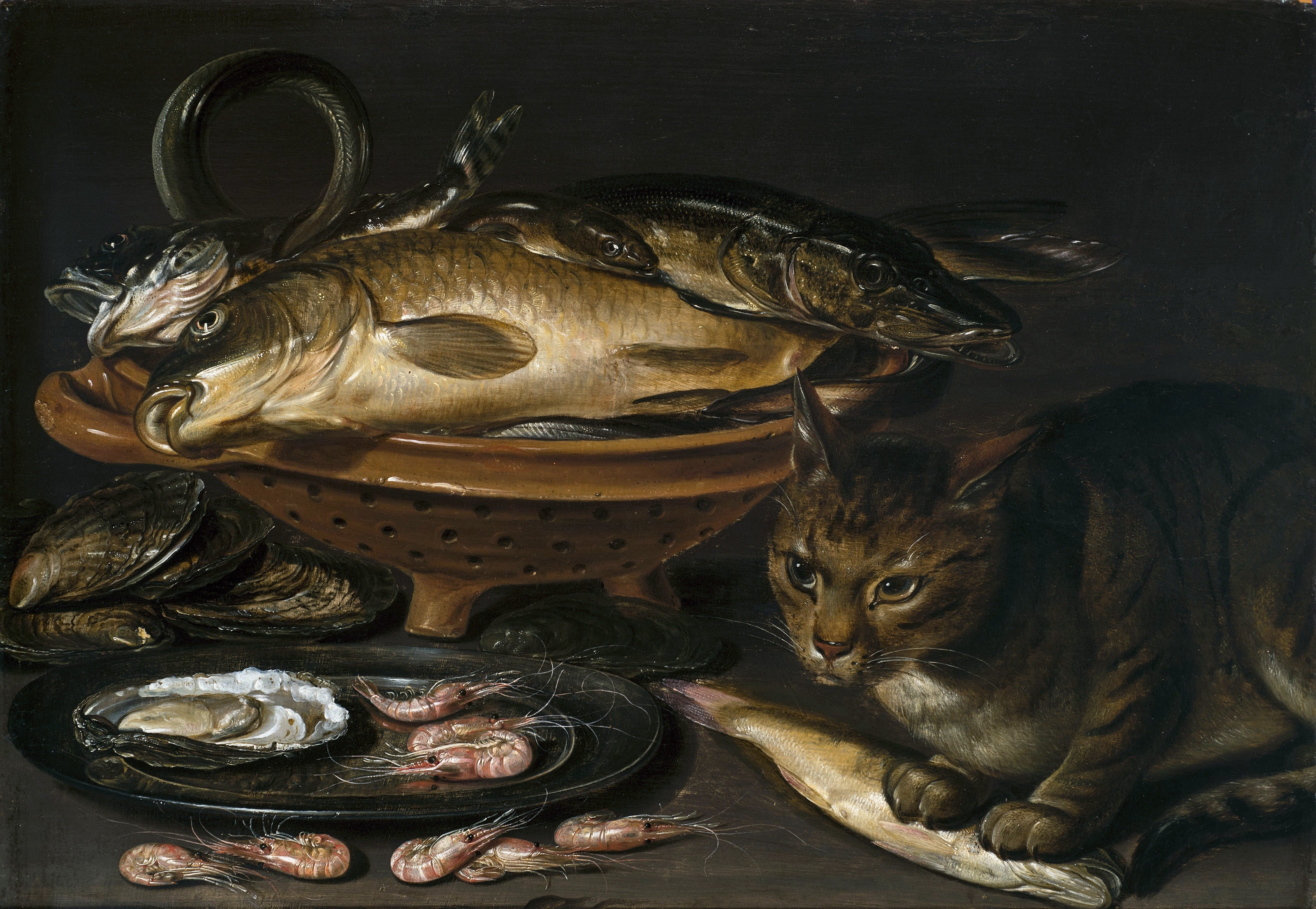 Still Life of Fish and Cat by Clara Peeters