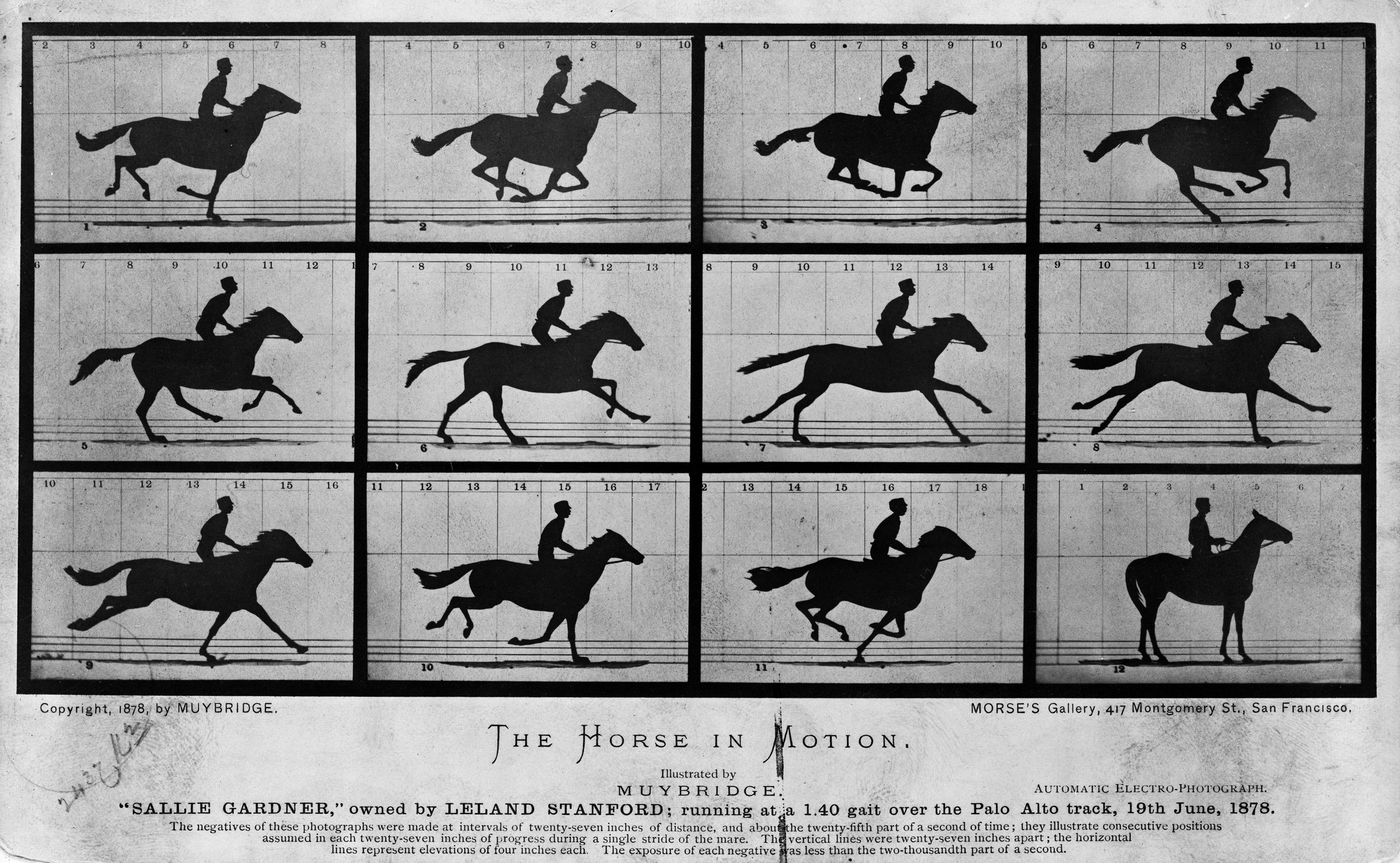 The Horse in Motion by Eadweard Muybridge
