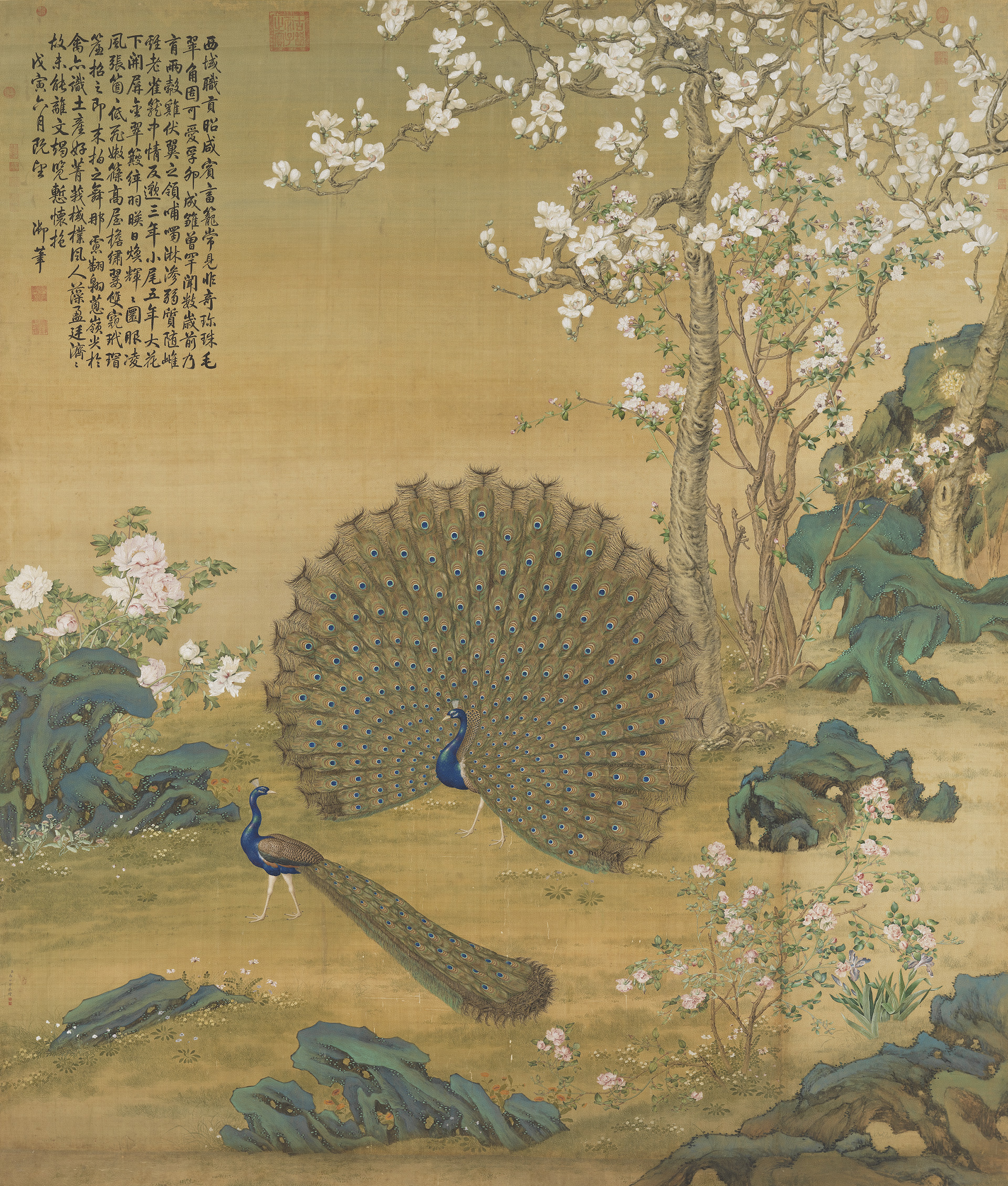 Peacock Spreading Its Tail Feathers by Giuseppe Castiglione (郎世寧)