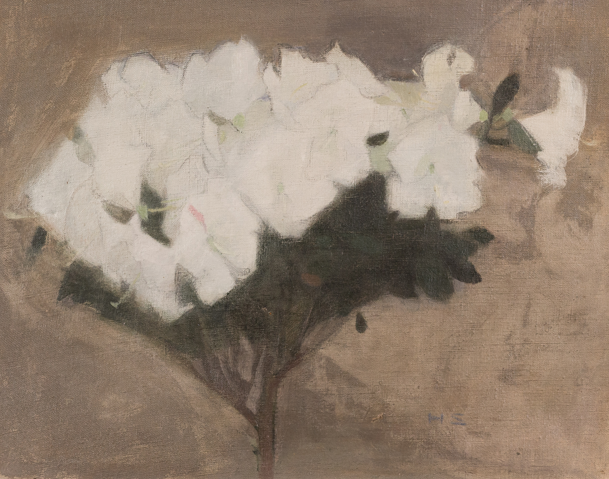 Azaleas by Helene Schjerfbeck