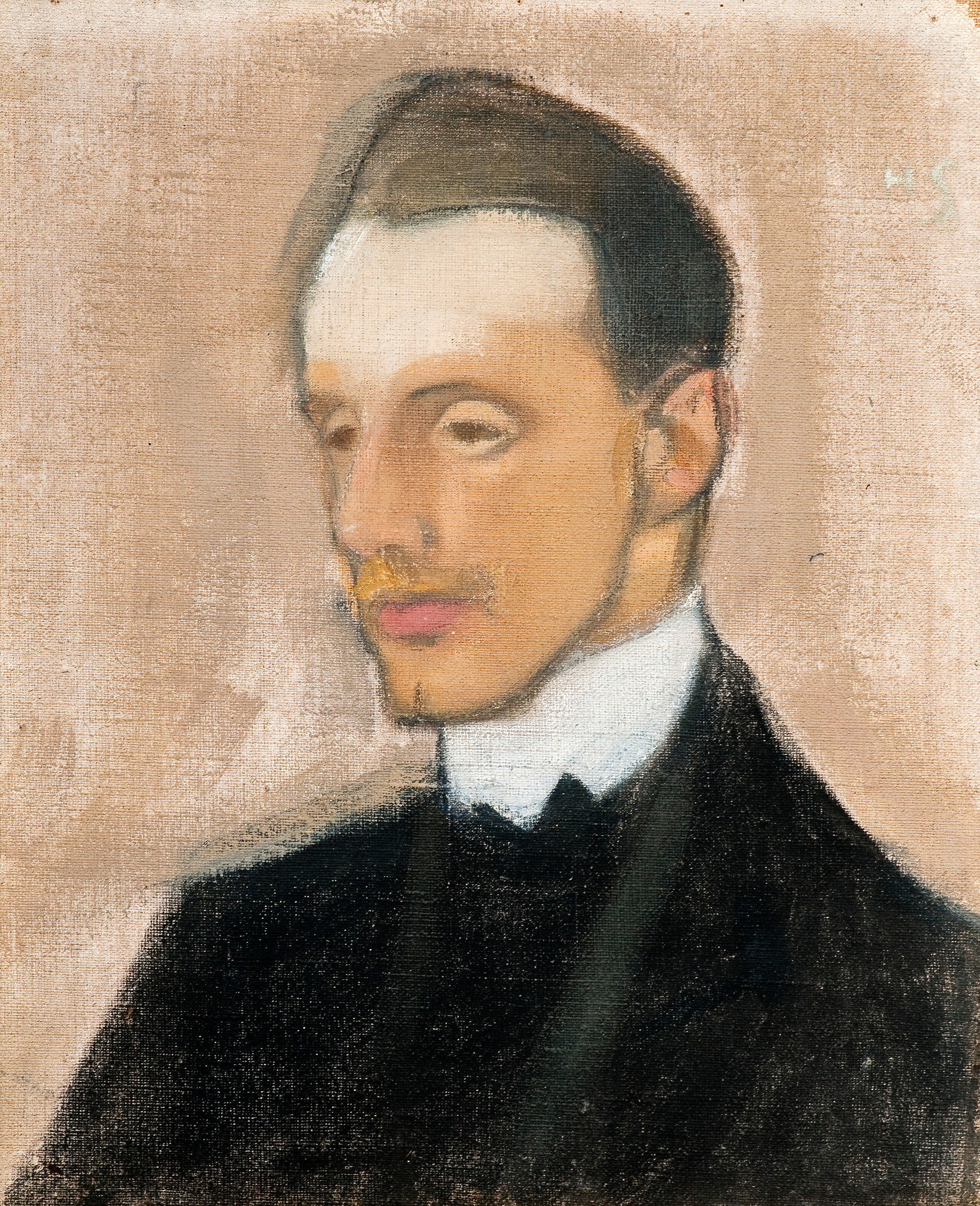 Study in Brown by Helene Schjerfbeck