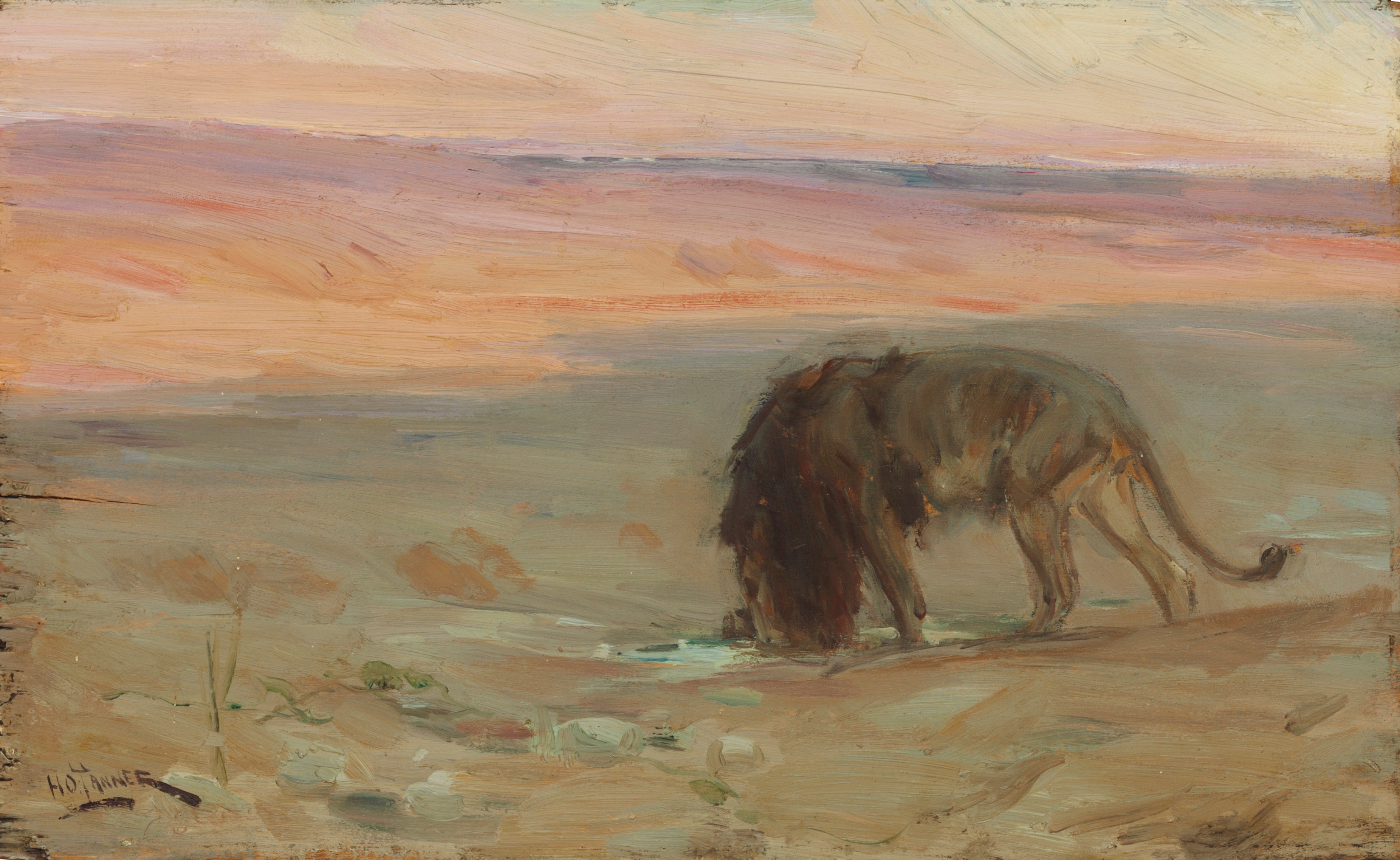Lion Drinking by Henry Ossawa Tanner