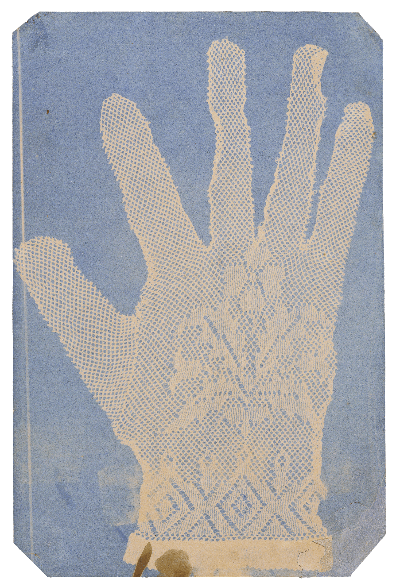 Lace Glove by Hippolyte Bayard
