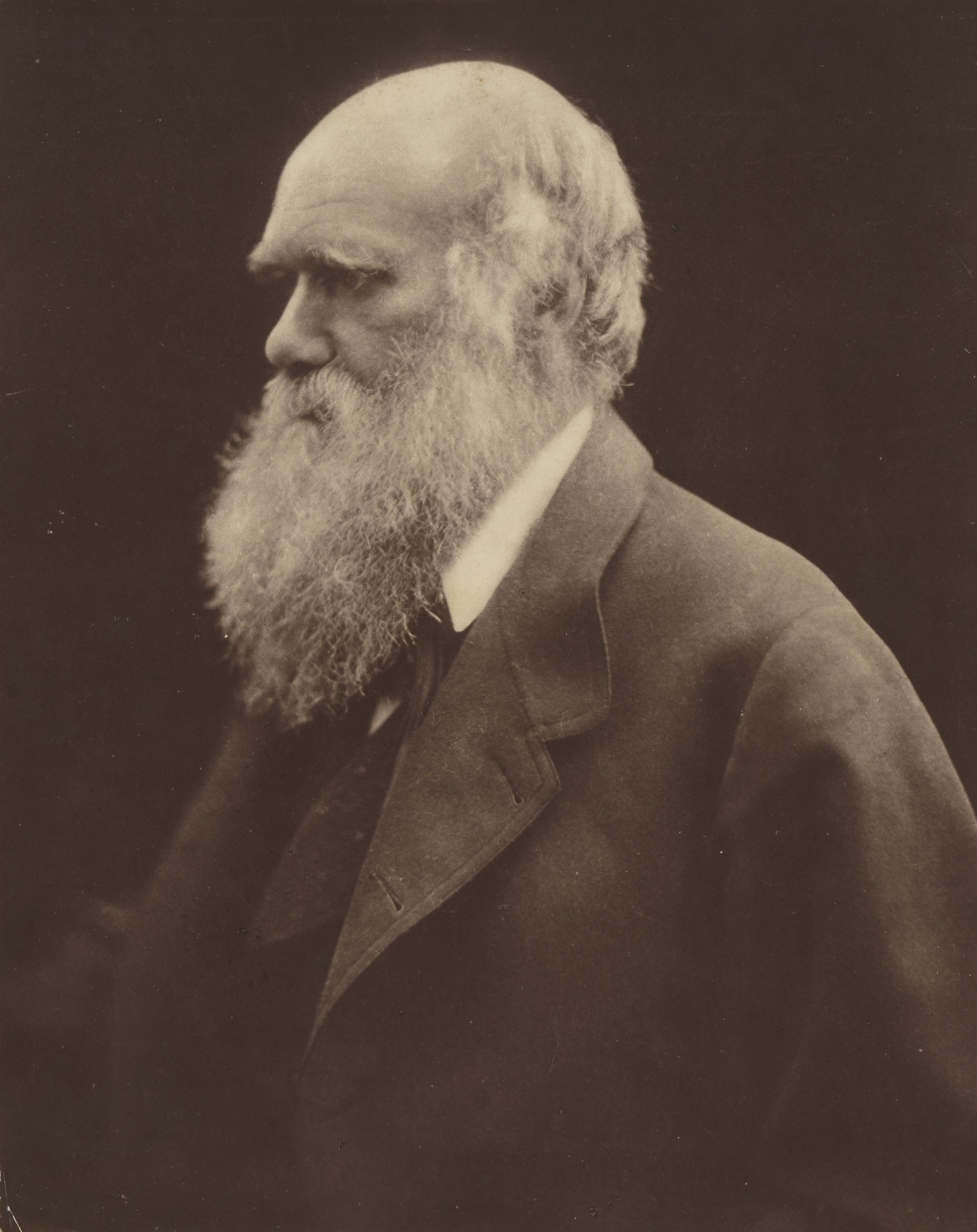 Portrait of Charles Darwin by Julia Margaret Cameron