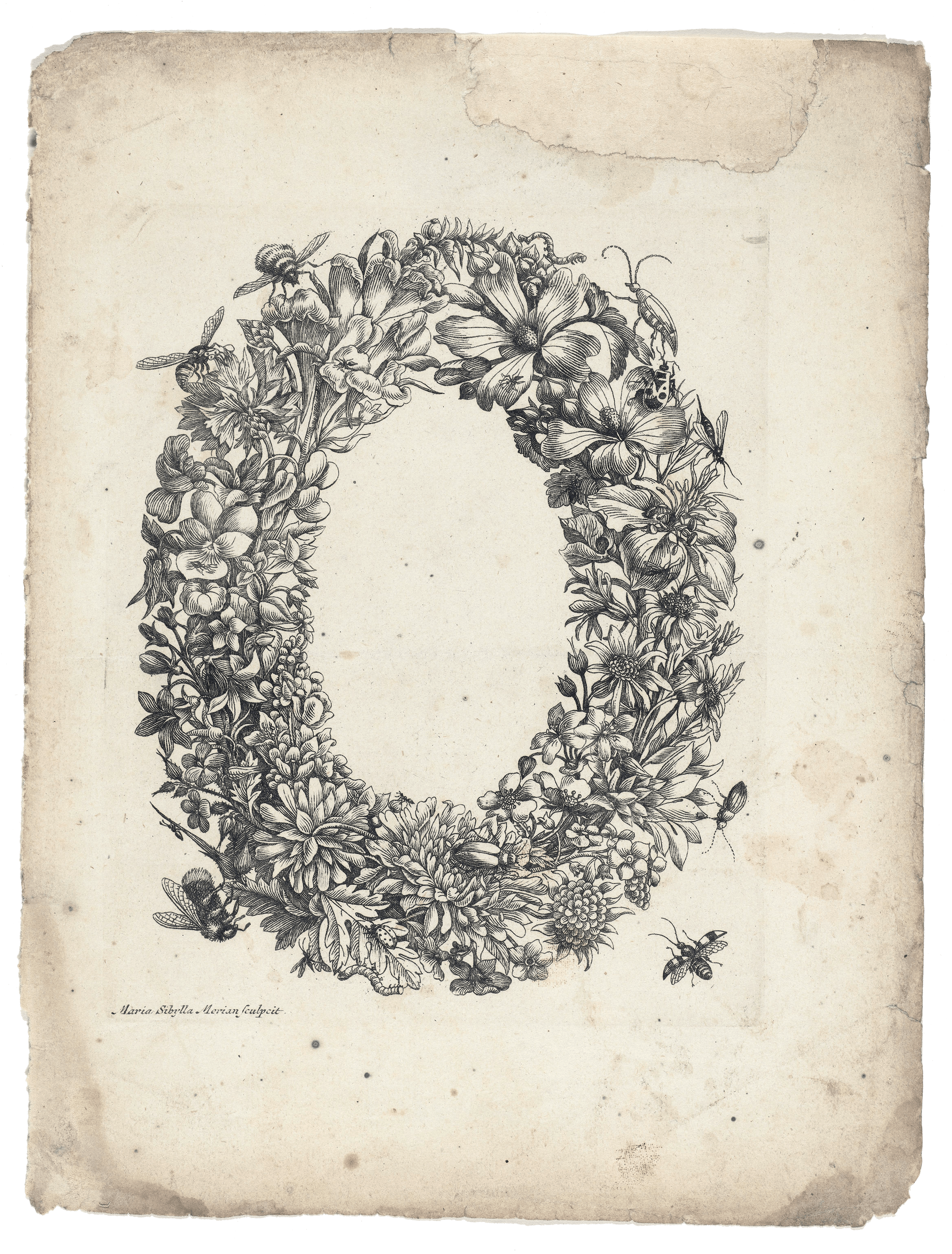 Floral Wreath with Insects by Maria Sibylla Merian