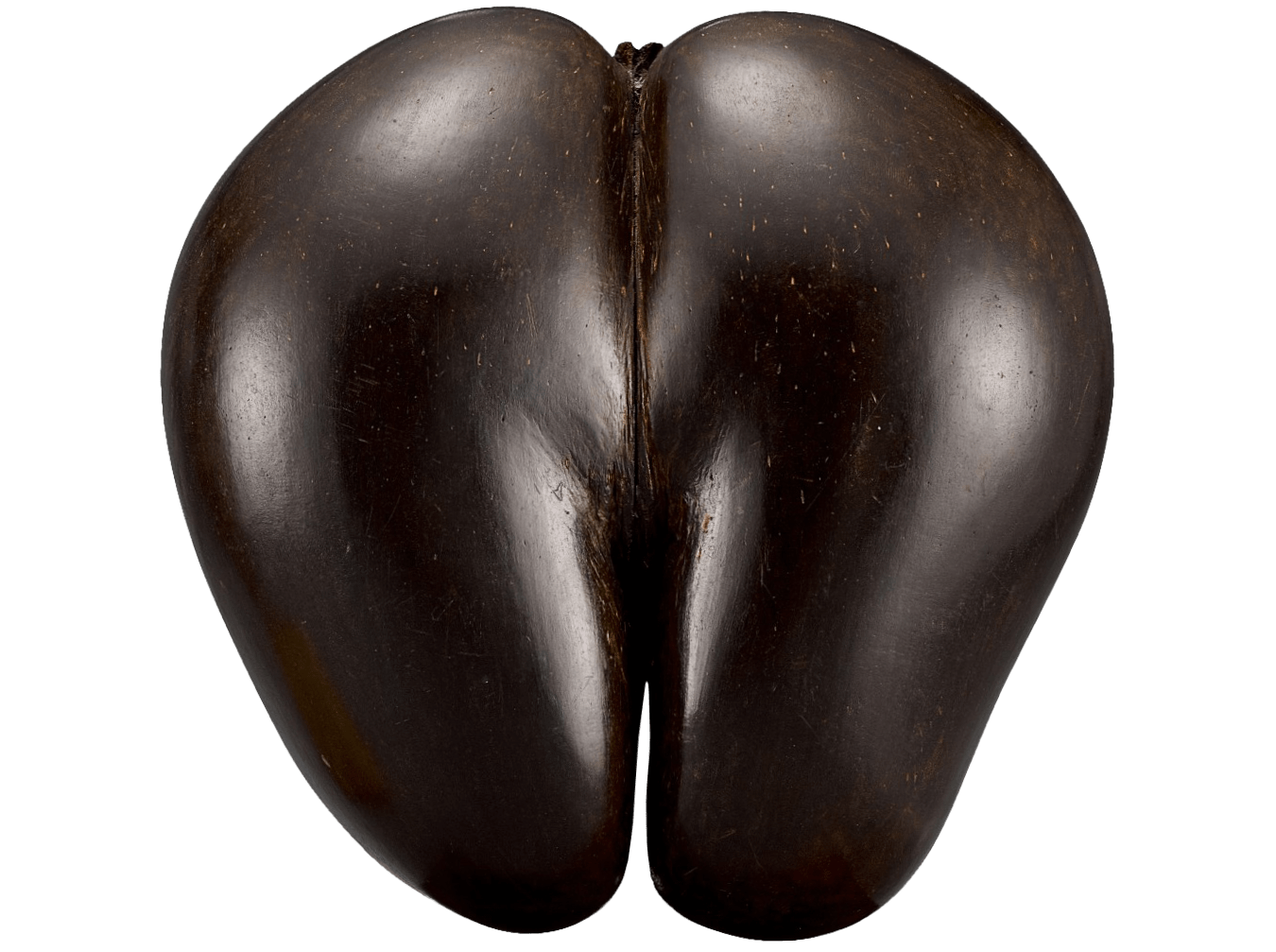 Coco de Mer by Natürlichekunst, or Natural Art