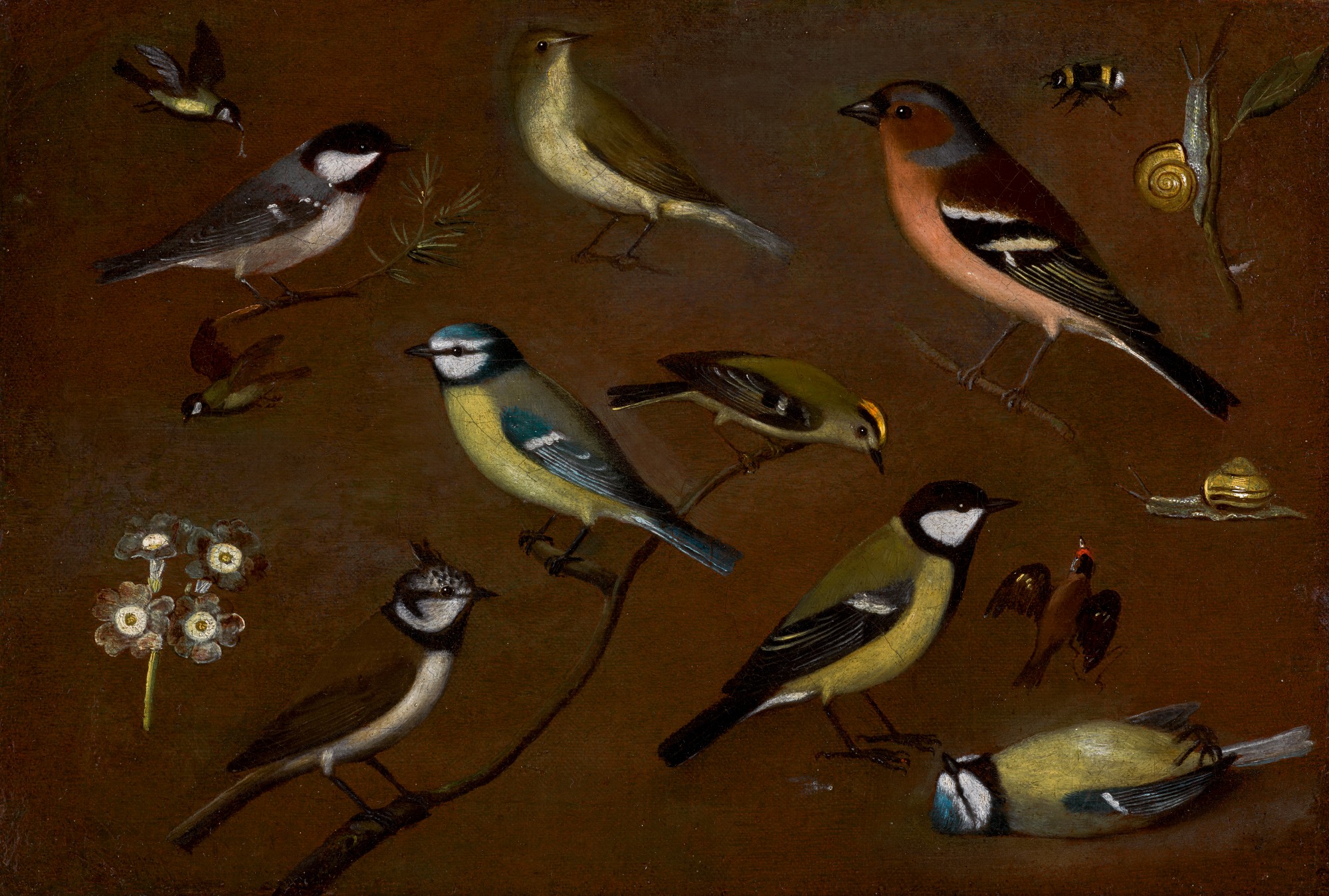 Still life of Birds by Orsola Maddalena Caccia