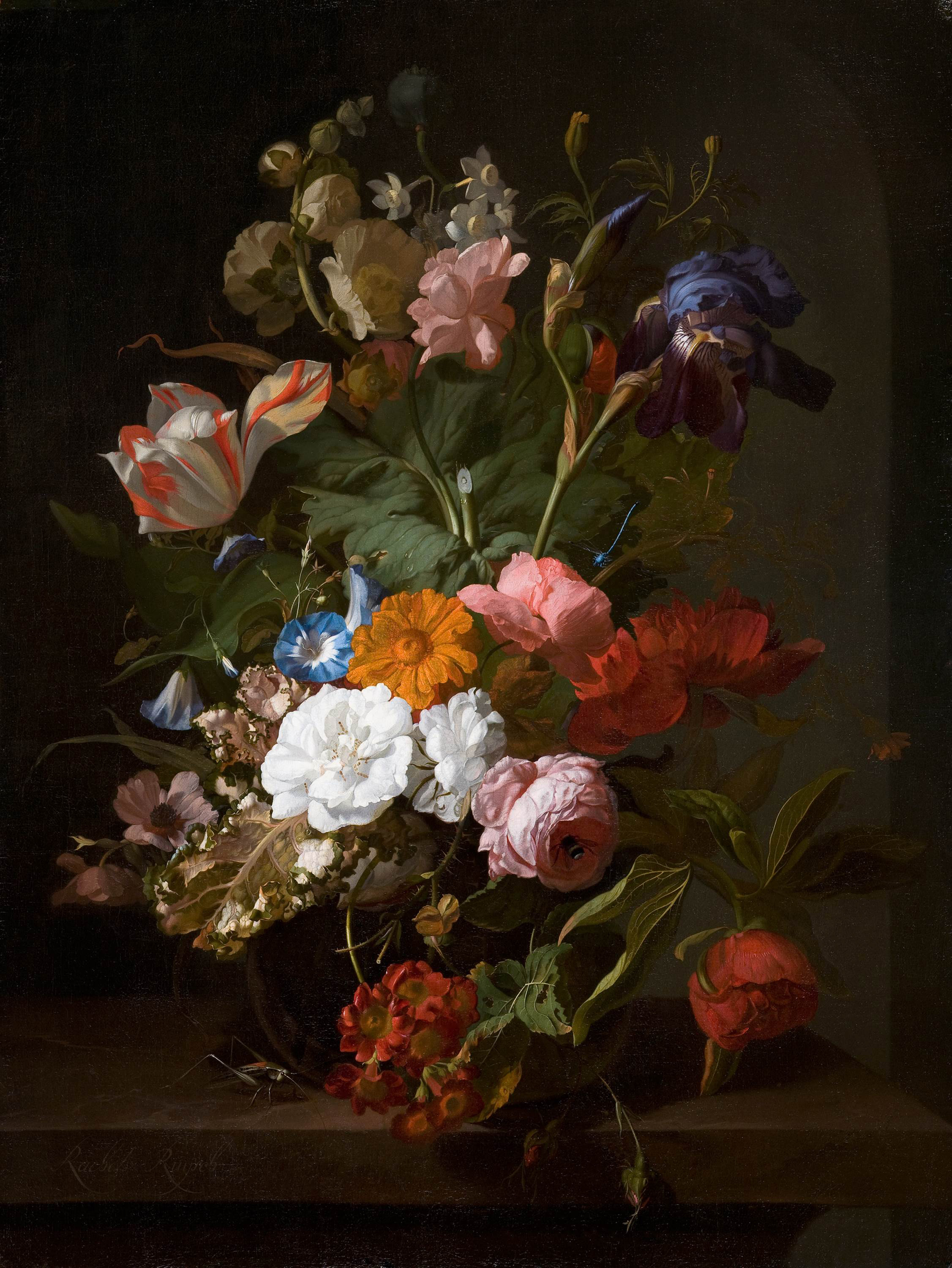 Still Life with Flowers and a Cricket by Rachel Ruysch