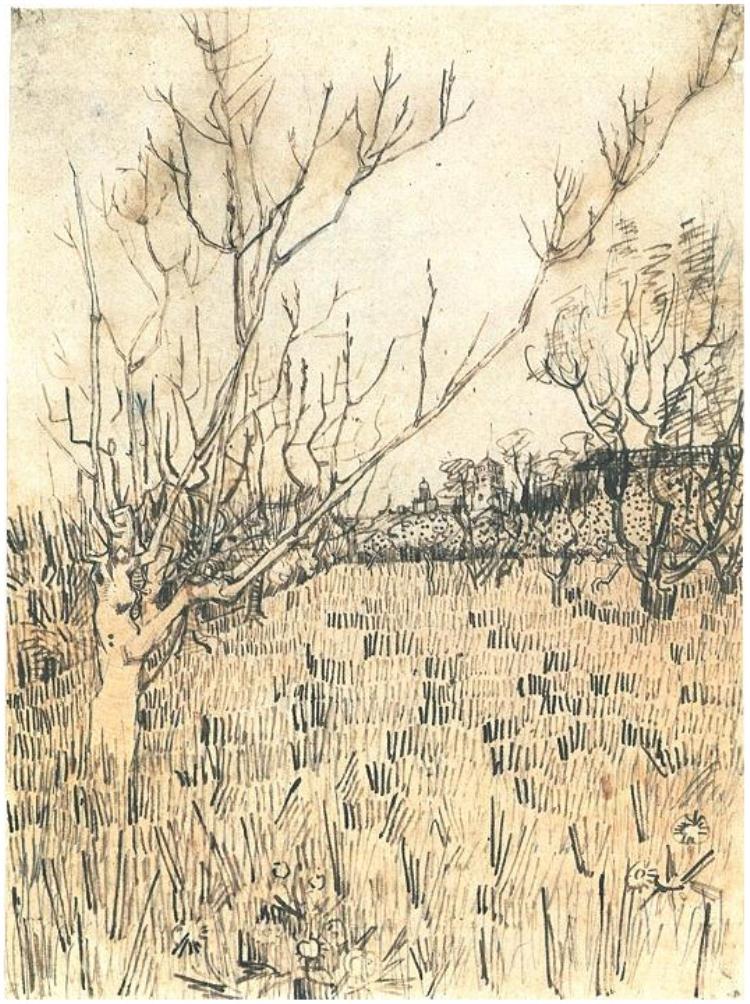 Orchard with Arles in the Background by Vincent Van Gogh