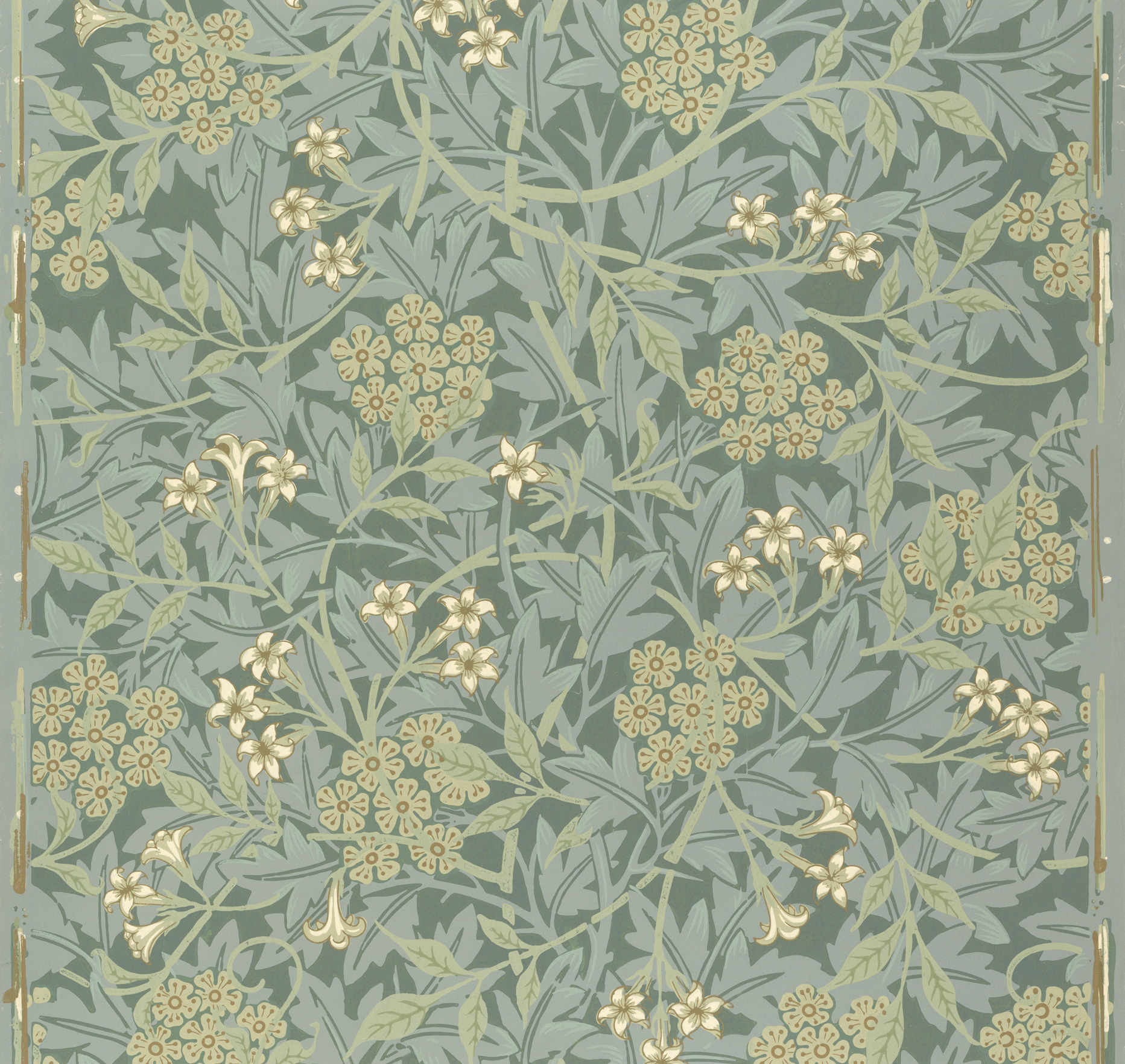 Jasmine by William Morris