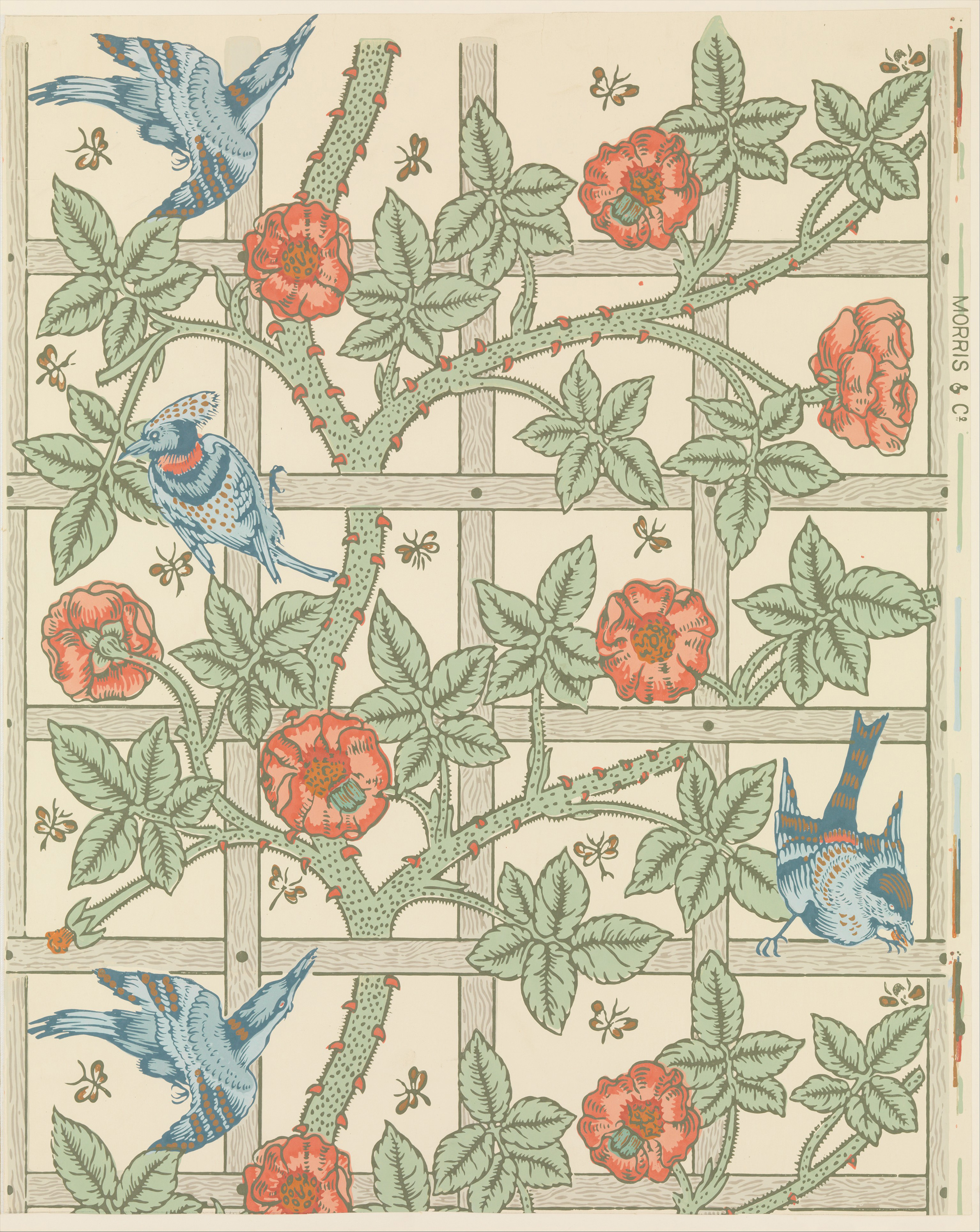 Trellis by William Morris
