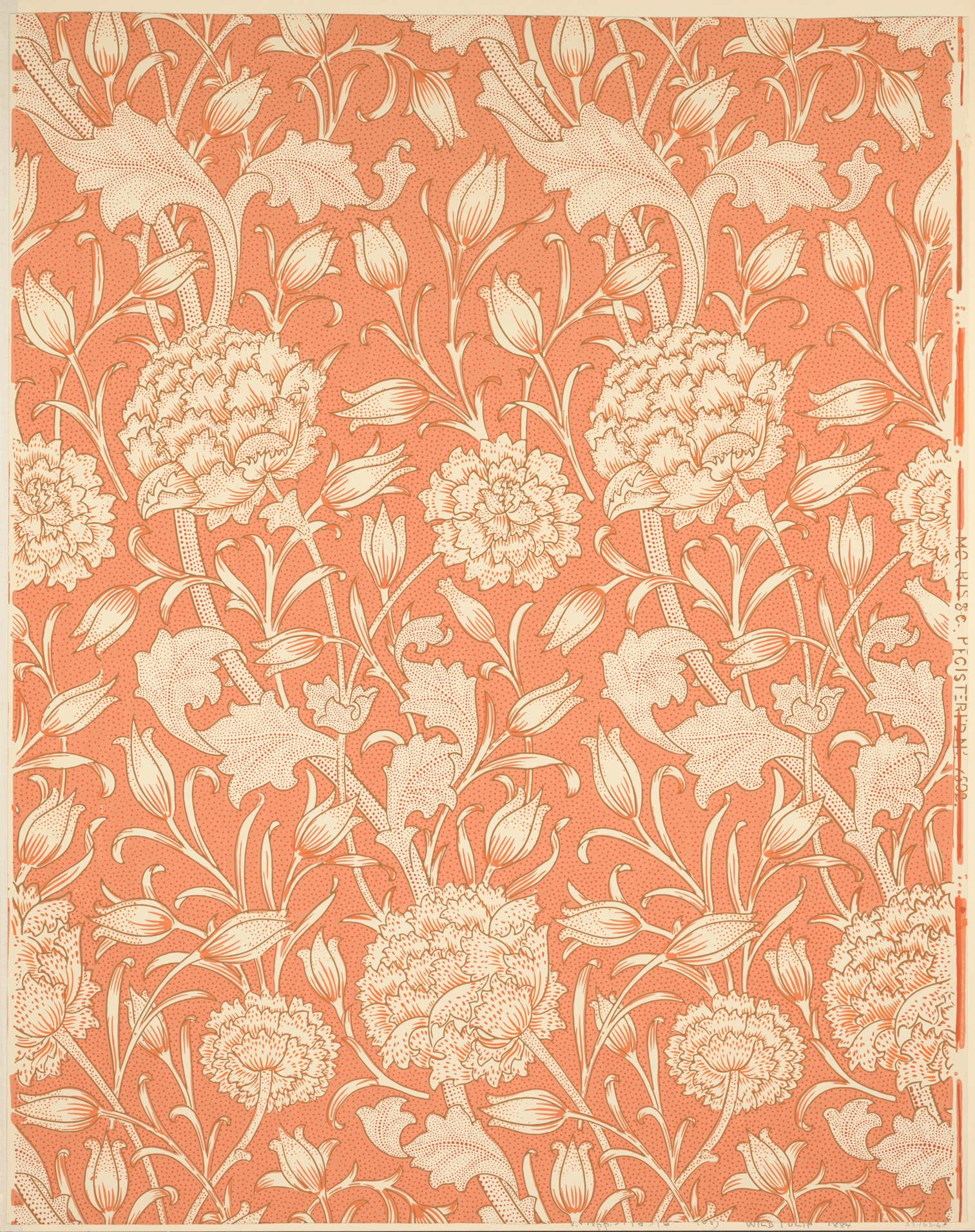 Wild Tulip by William Morris