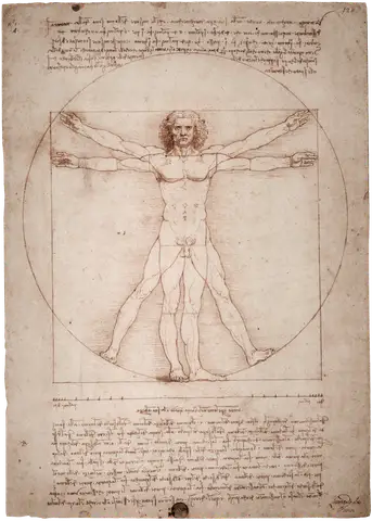 The Vitruvian Man by Leonardo da Vinci