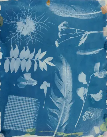 Arrangement of Specimens by Hippolyte Bayard