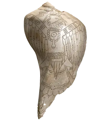 Engraved Whelk Shell Depicting Birdman by Mississippian Culture