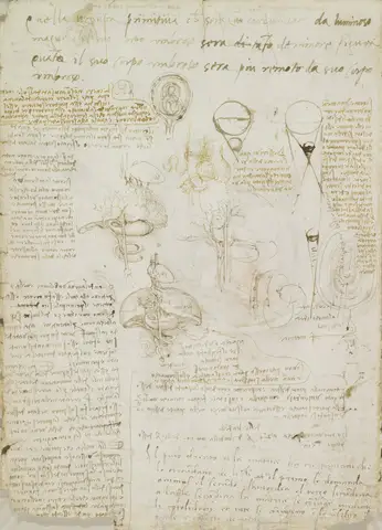 Notes on reproduction by Leonardo da Vinci