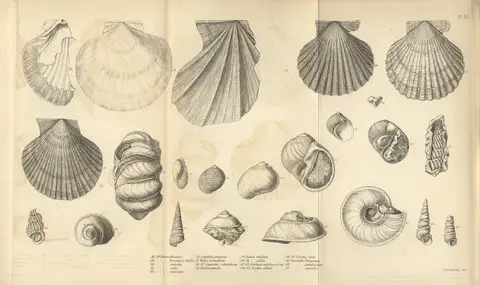 Geological observations on South America — Plate 3 by Charles Darwin