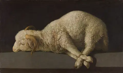Agnus Dei by Francisco de Zurbarán