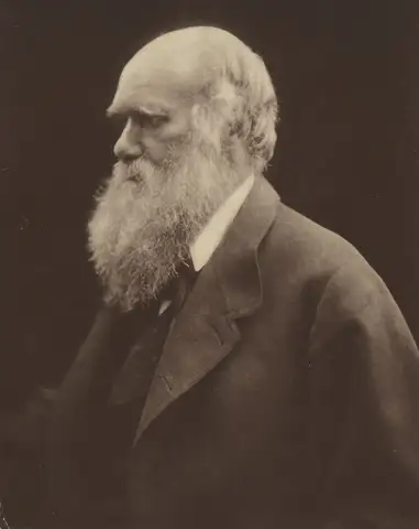 Portrait of Charles Darwin by Julia Margaret Cameron