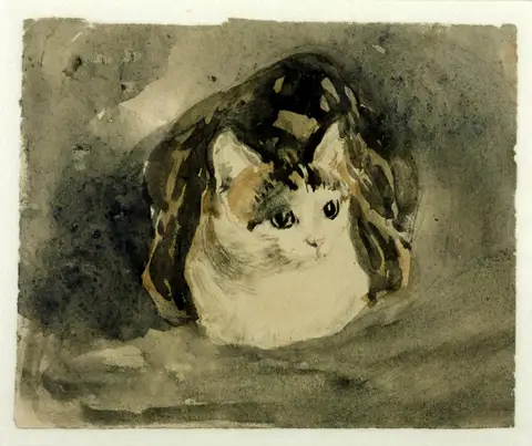 Cat by Gwendolen Mary John