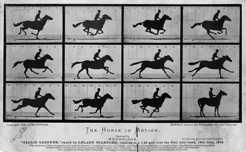 The Horse in Motion by Eadweard Muybridge