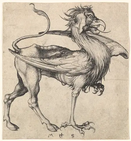 Griffin by Martin Schongauer