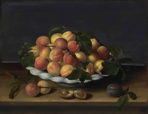 Apricots in a ceramic bowl, with plums on a stone ledge by Louise Moillon